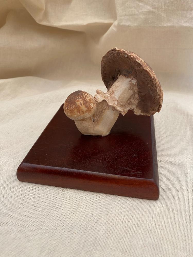 Mushroom Model 'D'