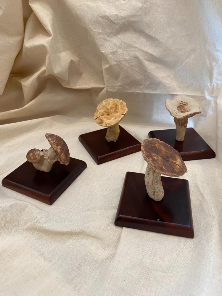Mushroom Model 'D' - Image 2
