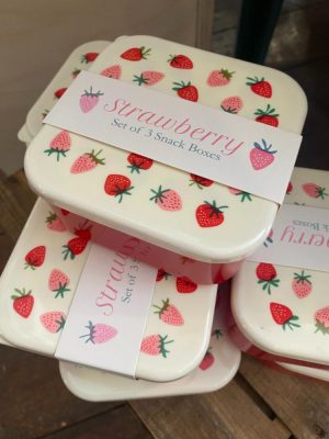 Rex Strawberry Snack Boxes